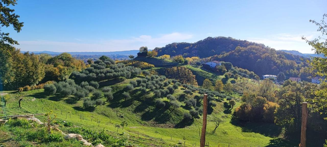 Terrazza San Vettore Camere Con Colazione, Relax In Collina Con Vista Sui Vigneti Docg Asolo Maser Exterior photo